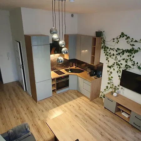 Apartament Green Loft Centrum Grudziadz Exterior photo